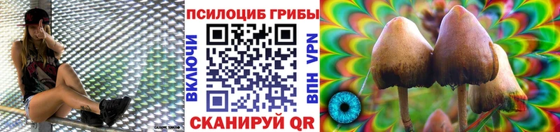 Галлюциногенные грибы мухоморы  купить   Шацк 